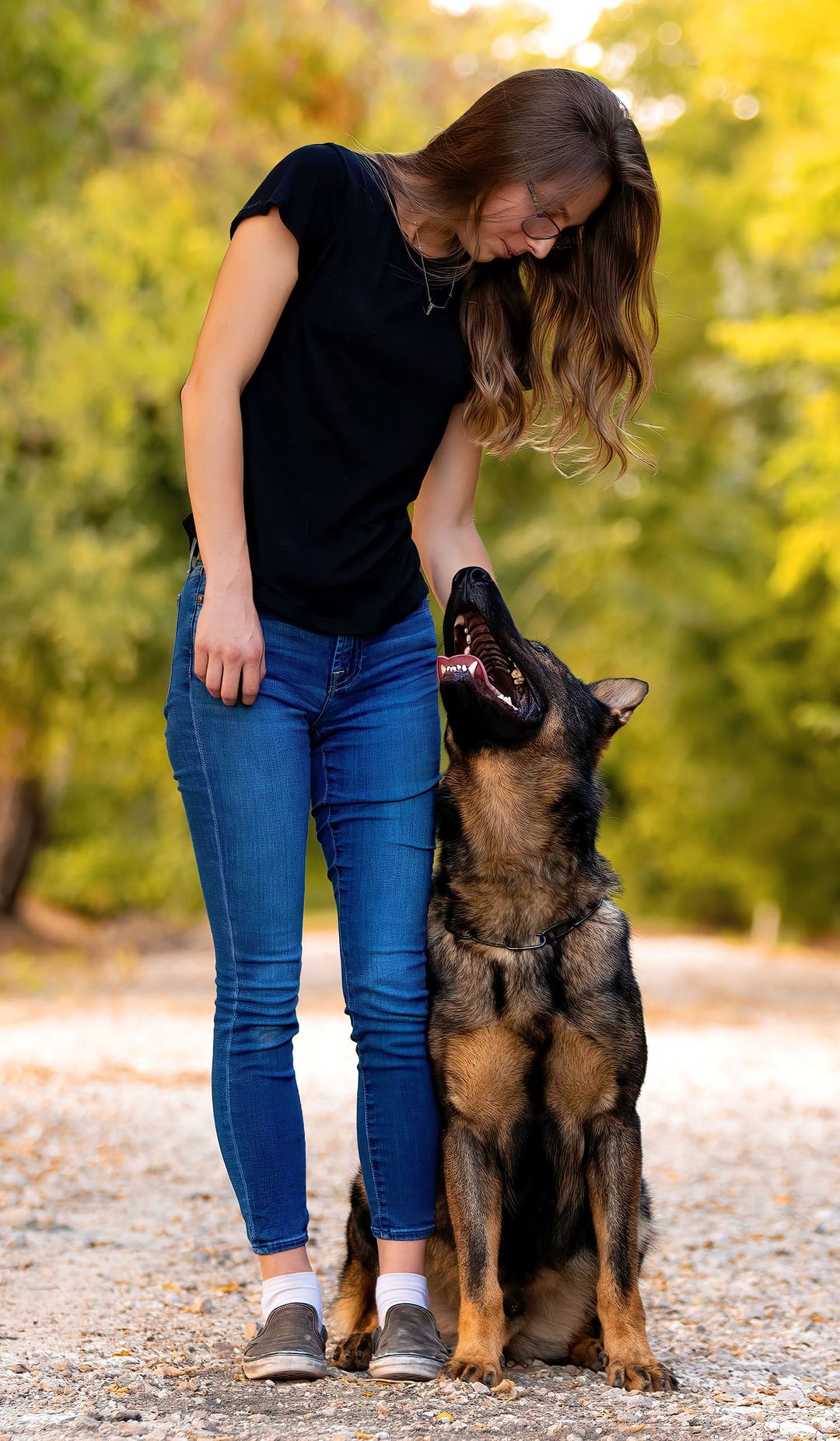 Personal Security Dogs Trained Protection Guard Dogs for Sale CPI